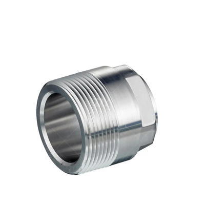 Sanitary Stainless Steel Adapters