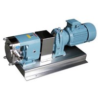 Sanitary Stainless Steel Rotary Lobe Gear Constant Speed Ratio Rotor Pump